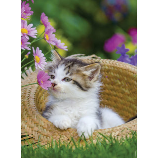 Load image into Gallery viewer, Ravensburger - puzzel - 2 x 500 stukjes