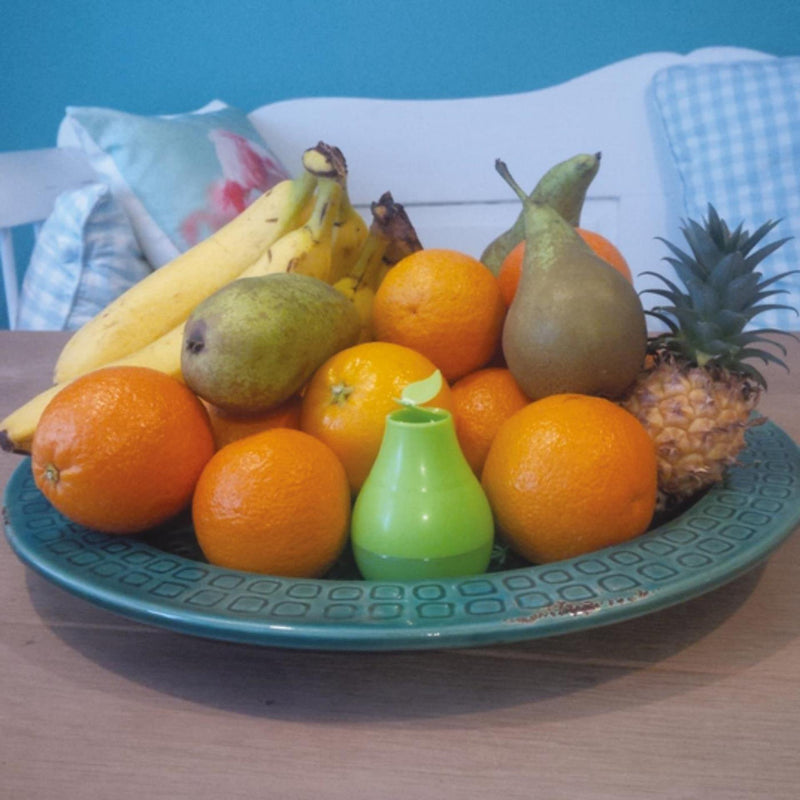Load image into Gallery viewer, Hg x fruitvliegjesval 20ml