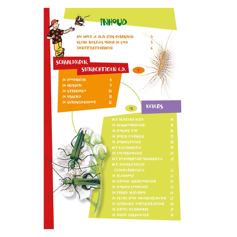 Load image into Gallery viewer, Deltas de leukste insectengids voor kids