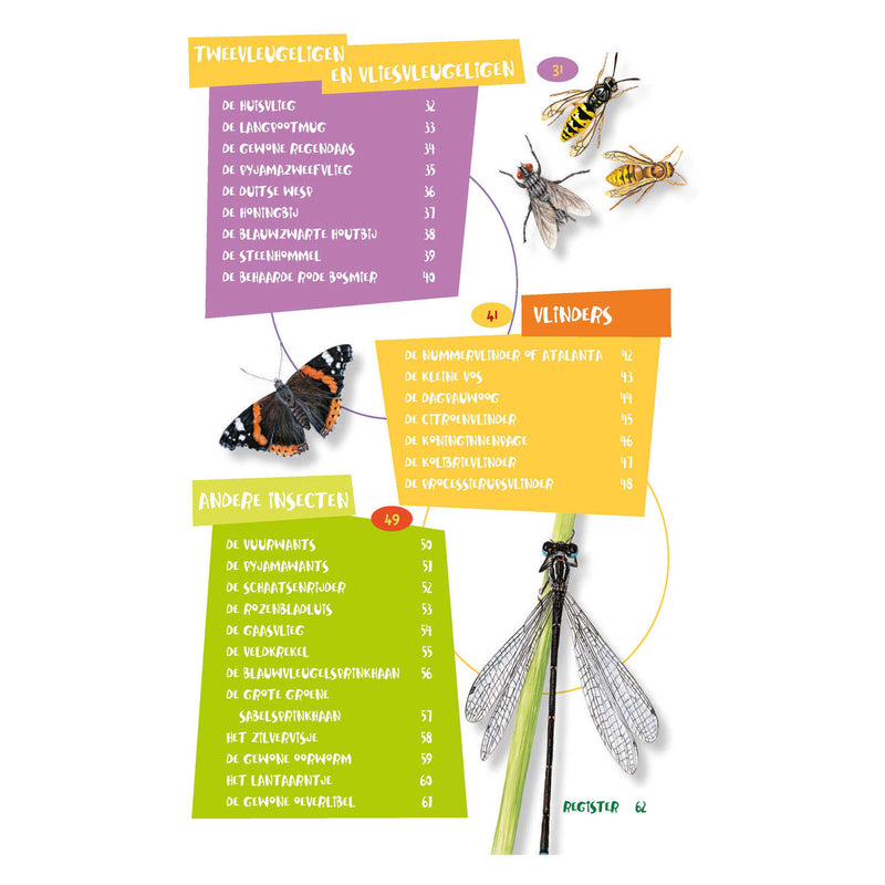 Load image into Gallery viewer, Deltas de leukste insectengids voor kids
