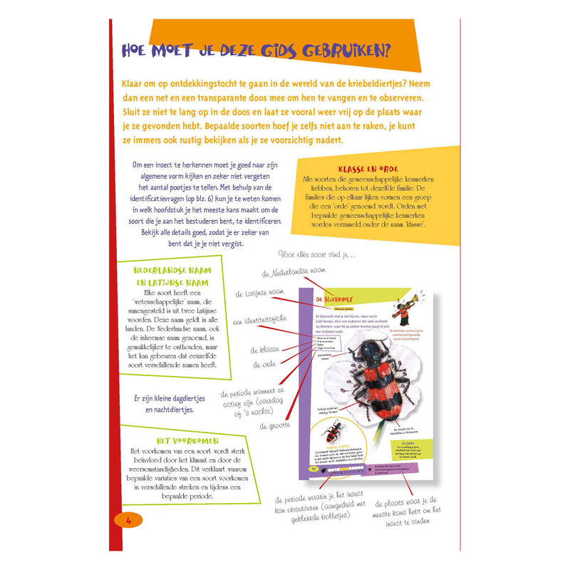 Load image into Gallery viewer, Deltas de leukste insectengids voor kids