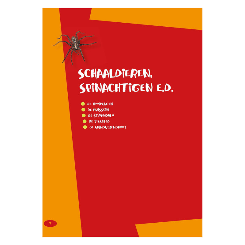 Load image into Gallery viewer, De leukste insectengids voor kids