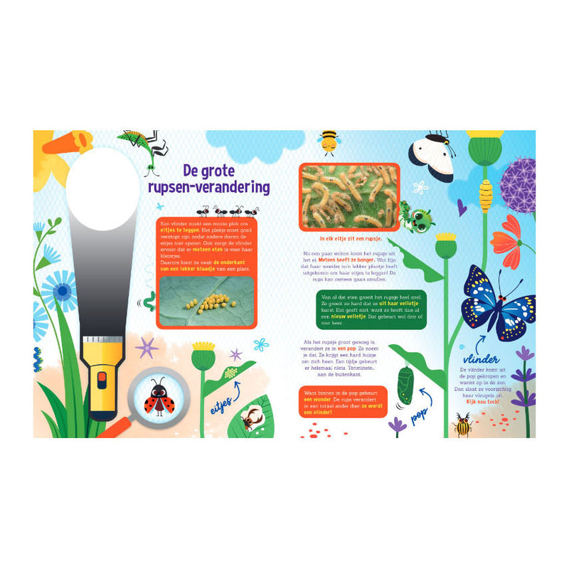 Load image into Gallery viewer, Lantaarn publishers speuren naar vlinders