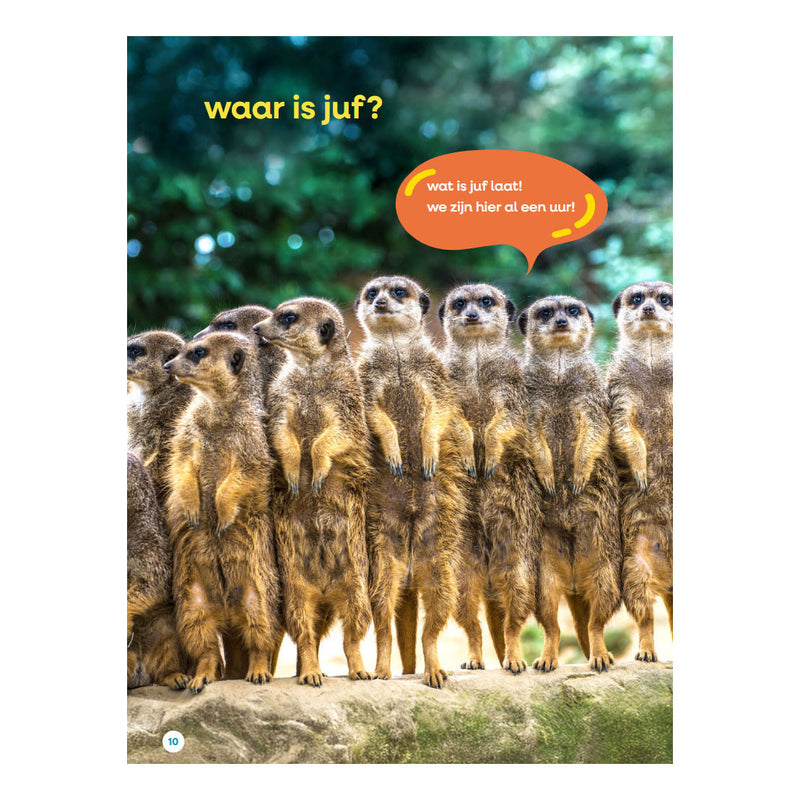 Load image into Gallery viewer, Wpg uitgevers mijn grote juffenboek - avi start