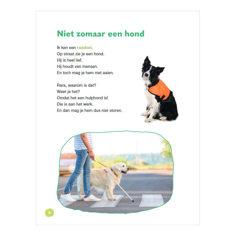 Load image into Gallery viewer, Wpg uitgevers hoera voor de hulphond - avi m4