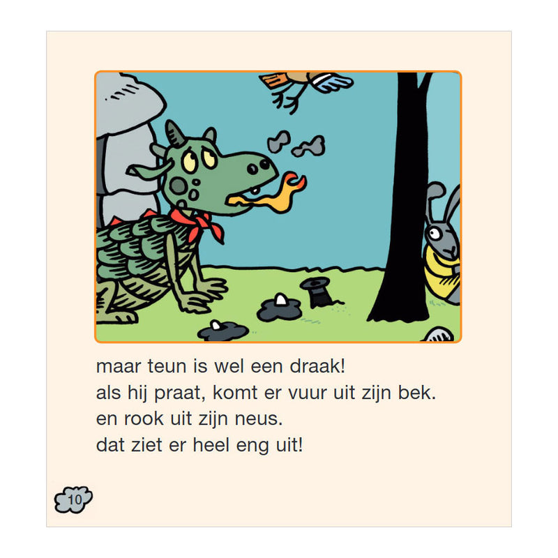 Load image into Gallery viewer, Het boek van teun
