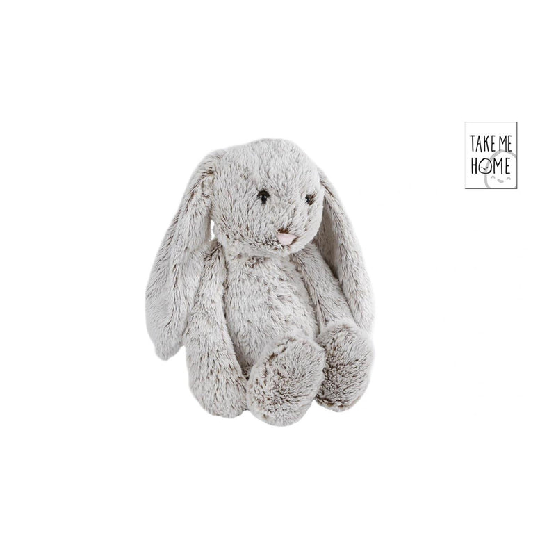 Load image into Gallery viewer, Take me home konijn pluche 60cm