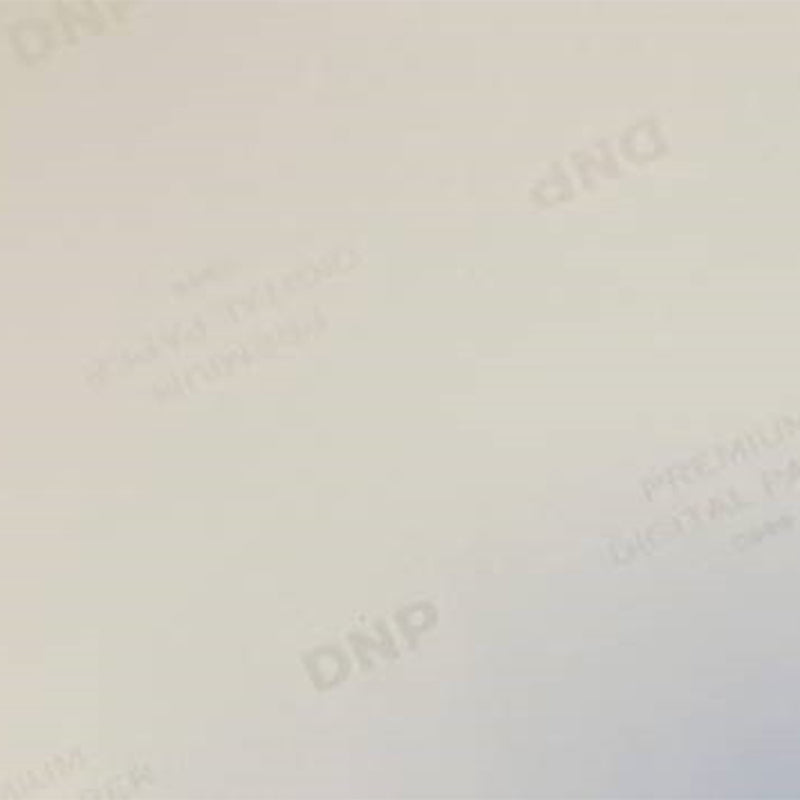 Load image into Gallery viewer, DNP Standaard Papier DSRX1HS-4X6 2 Rol � 700 St. 10x15 voor DS-RX1HS