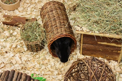 Load image into Gallery viewer, Happy pet wilgen tunnel