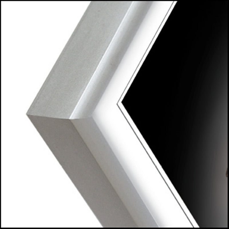 Load image into Gallery viewer, Zep fotolijst al1s15 silver 20x25 cm