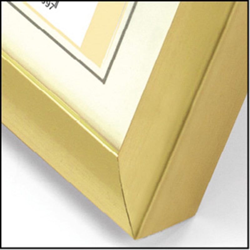 Load image into Gallery viewer, Zep fotolijst kg4 goud 20x30 cm