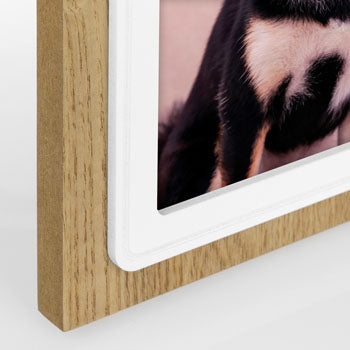 Load image into Gallery viewer, 8020912080237