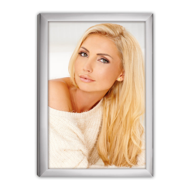 Load image into Gallery viewer, Zep 120s20-8r silver frame 20x25 cm