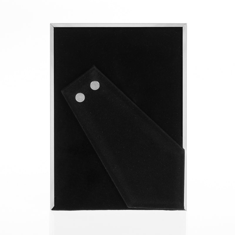 Load image into Gallery viewer, Zep 120s20-8r silver frame 20x25 cm