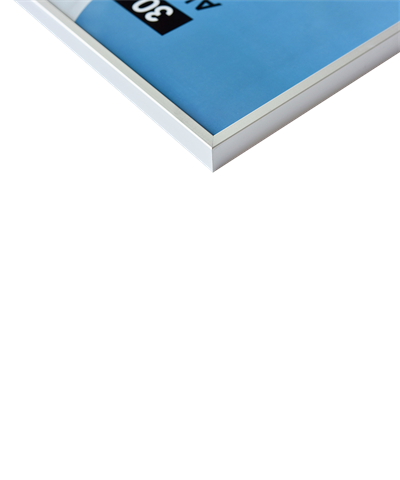 Load image into Gallery viewer, Nielsen design nielsen fotolijst 55124 accent mat zilver 40x60 cm