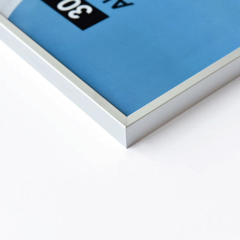 Load image into Gallery viewer, Nielsen design nielsen fotolijst 52724 accent mat zilver 50x70 cm