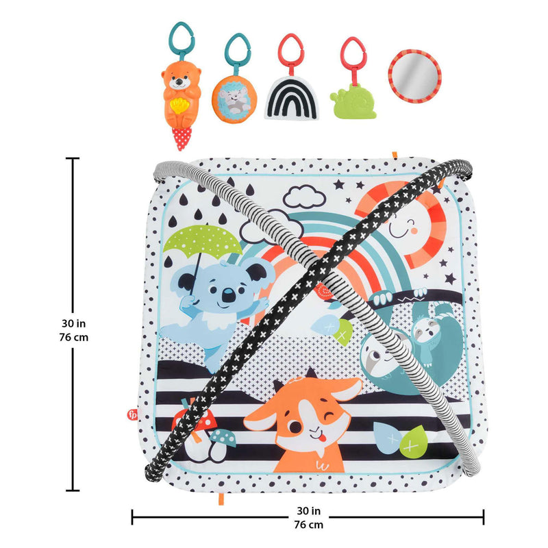 Afbeelding laden in galerijviewer, Fisher price fisher-price 3-in-1 muziek glow grow gym