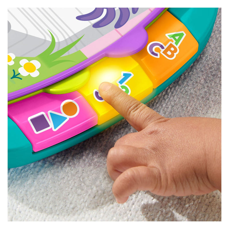 Load image into Gallery viewer, Mattel fisher-price leerplezier verhalenboek versjes - muzikaal boek met lichtjes en geluid