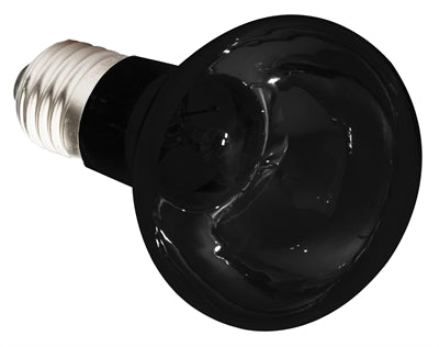 Load image into Gallery viewer, Komodo nachtgloed lamp es
