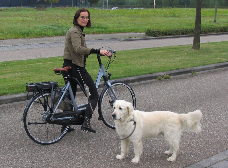 Load image into Gallery viewer, M-wave springer honden-fiets-beugel