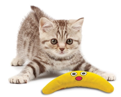 Load image into Gallery viewer, Petstages green magic boomerang buddy