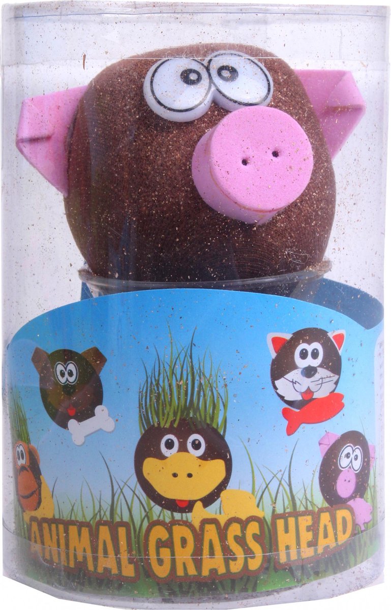 Load image into Gallery viewer, Toys amsterdam grasvriendjes varken junior 12,5 cm vilt bruin