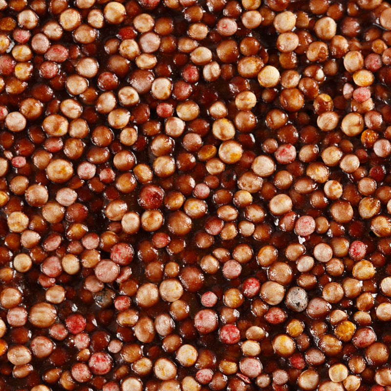 Load image into Gallery viewer, Https: www.cchobby.nl foam-clayr-bruin-560-gr-1-emmer