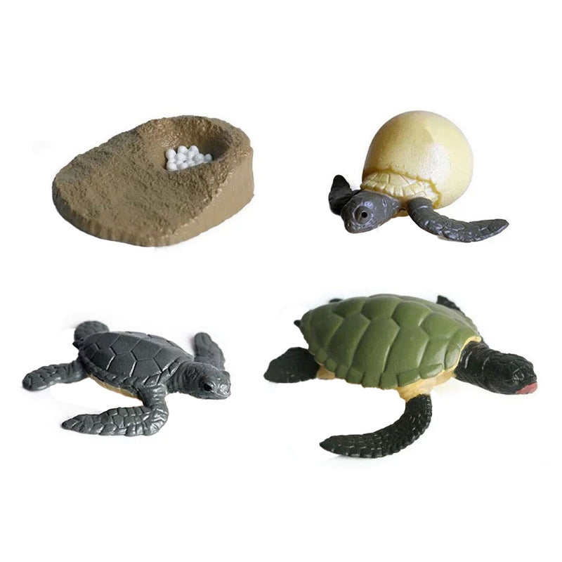 Load image into Gallery viewer, Cycplus levenscyclus schildpad speelfiguren set