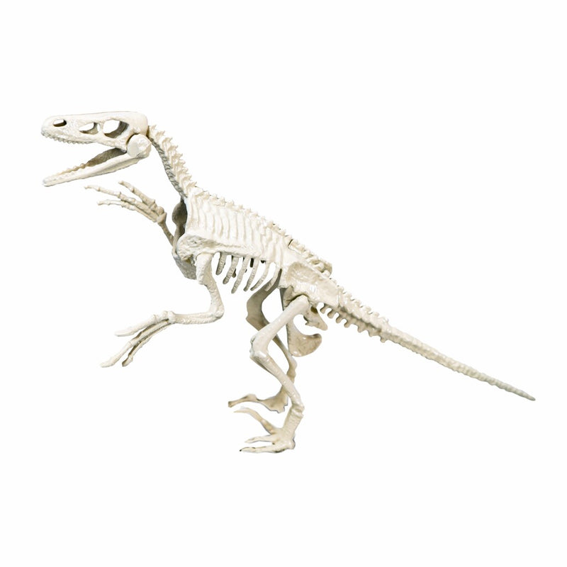 Load image into Gallery viewer, Clementoni Wetenschap Spel Archeospel Velociraptor