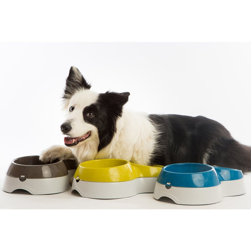 Load image into Gallery viewer, Bama pet voerderbak met waterreservoir 33x20x9 cm assorti