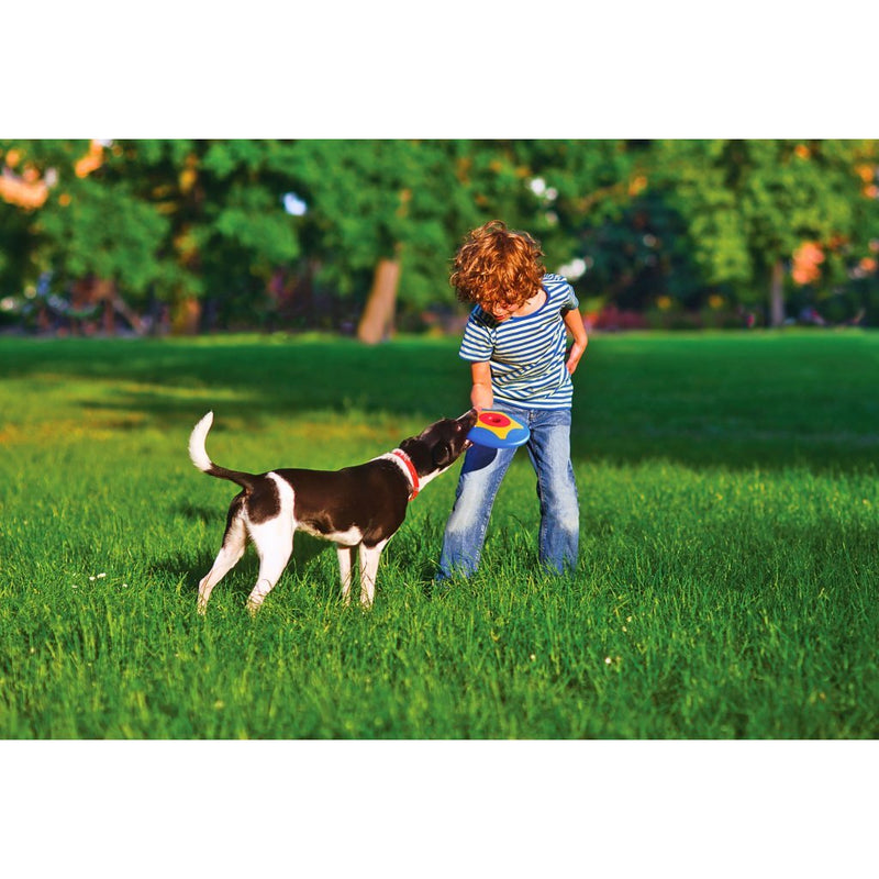 Load image into Gallery viewer, Bama pet trotto disk hondenspeelgoed 24.5x4.5 cm blauw geel rood