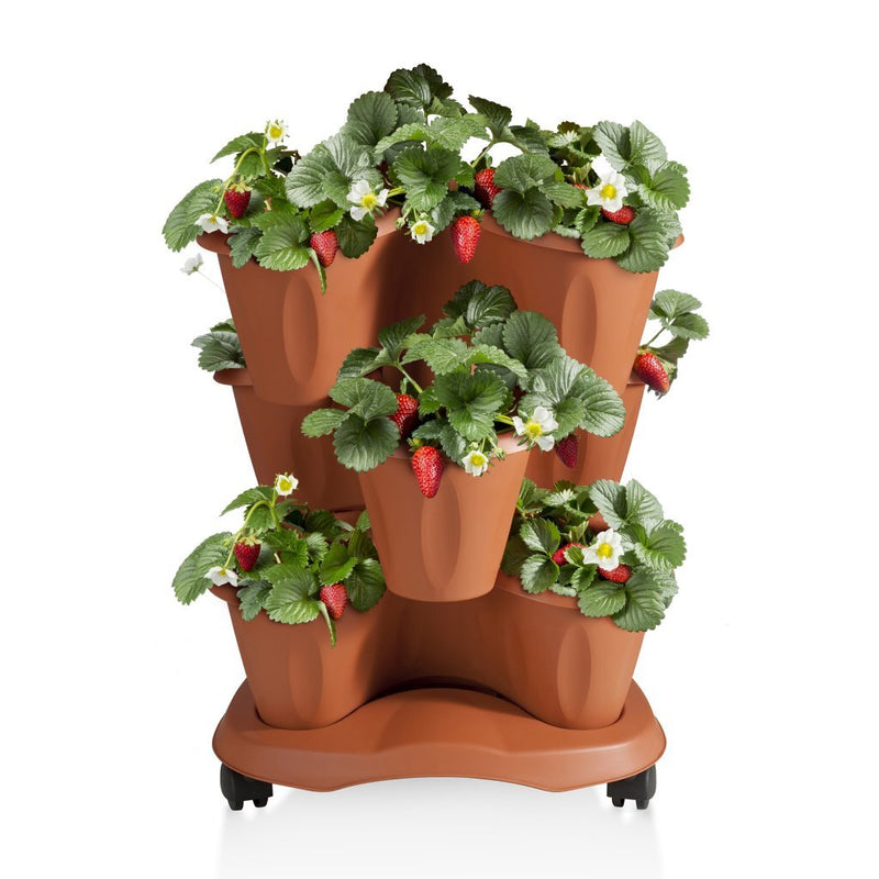 Afbeelding laden in galerijviewer, Bama trifoglio plantenbak met wieltjes 40x51 cm terracotta