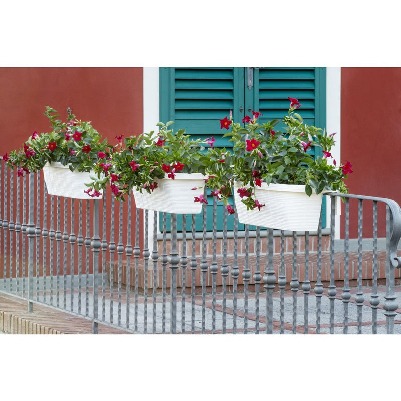 Load image into Gallery viewer, Bama fioriera bloem-balkonbak 60x20x18.5 cm wit