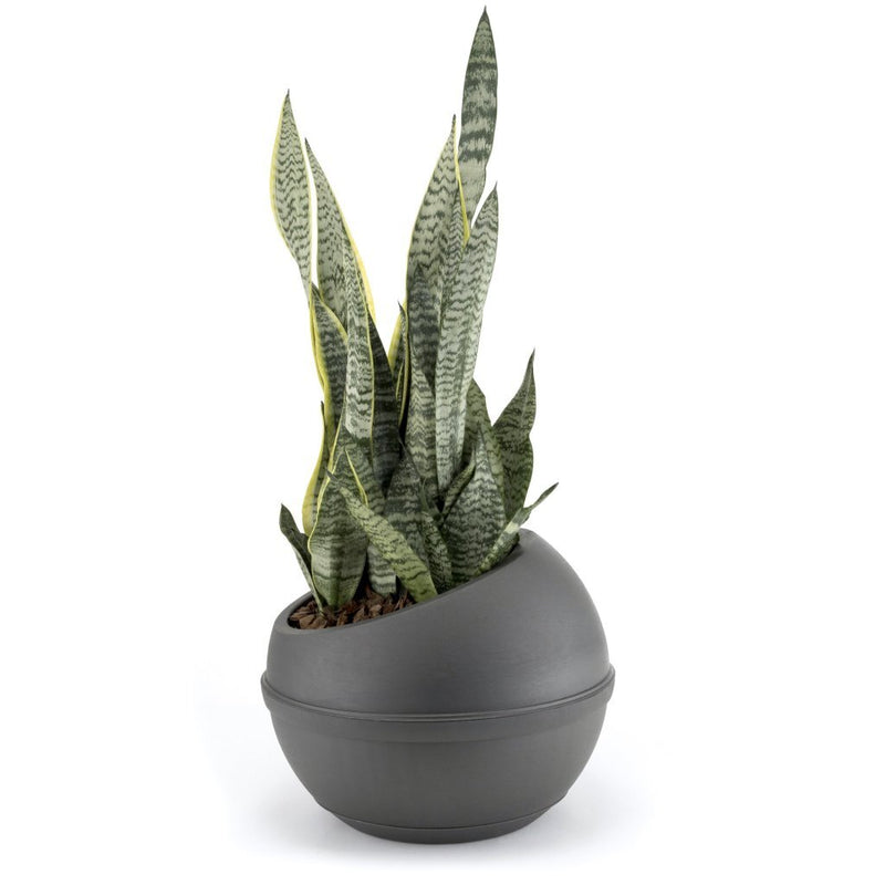 Load image into Gallery viewer, Bama sfera bloempot 23l 40.5x32 cm antraciet