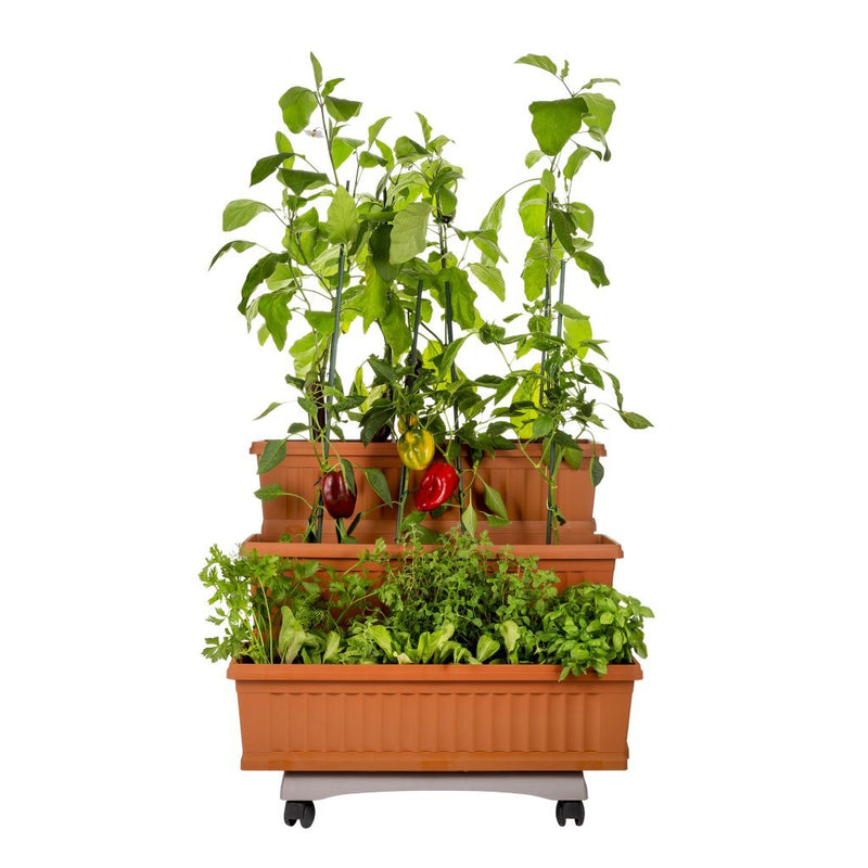 Load image into Gallery viewer, Bama orto di kit plantenbakken 80x74x73 cm terracotta