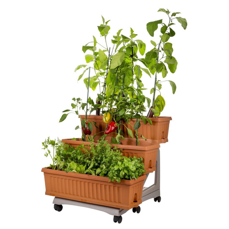 Load image into Gallery viewer, Bama orto di kit plantenbakken 80x74x73 cm terracotta