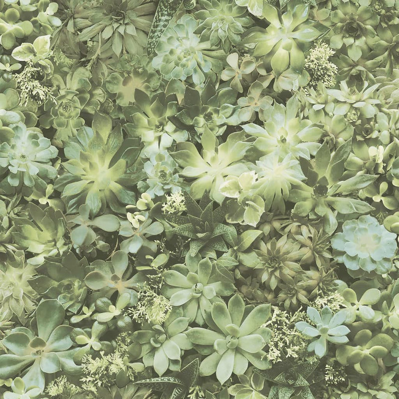 Load image into Gallery viewer, Noordwand behang evergreen succulent groen en beige