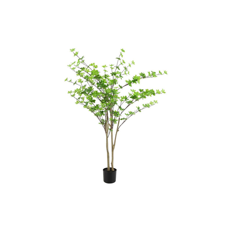 Afbeelding laden in galerijviewer, Countryfield plant dysosma pleiantha 150cm groen