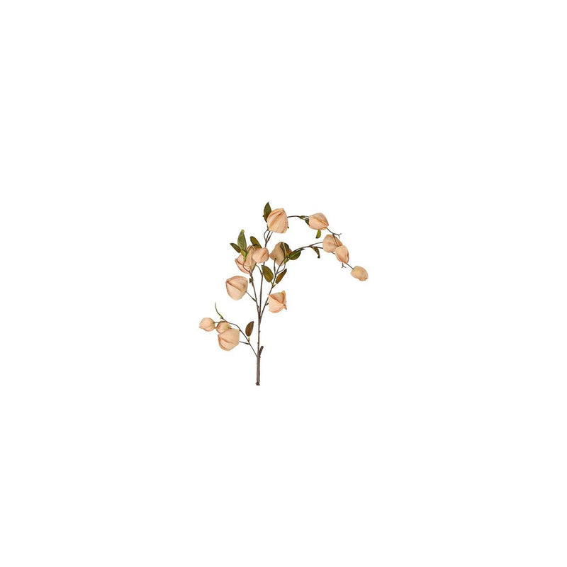 Afbeelding laden in galerijviewer, Countryfield kunstbloem physalis miranda bruin zijde h94cm