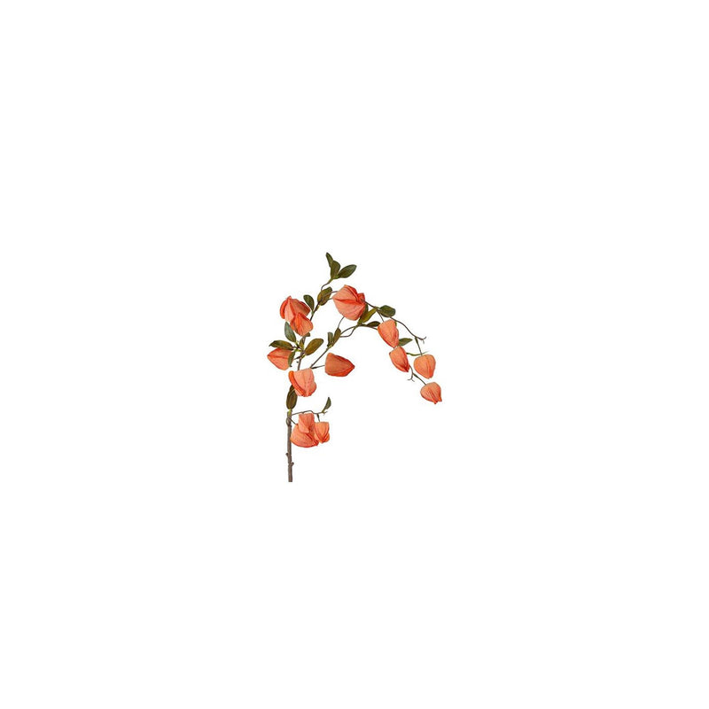 Afbeelding laden in galerijviewer, Countryfield kunstbloem physalis miranda brons zijde h94cm