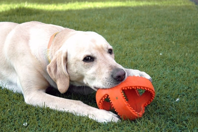 Load image into Gallery viewer, Happy pet grubber interactieve voetbal oranje