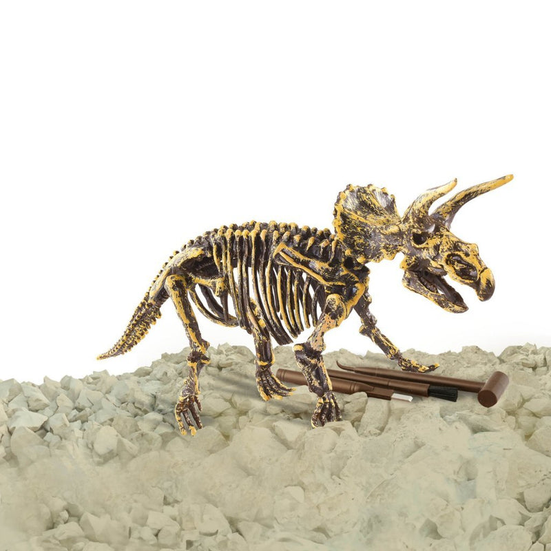Load image into Gallery viewer, Dinobase dino 3d triceratops skelet