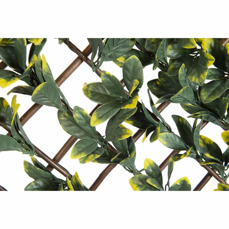 Load image into Gallery viewer, Nature latwerk met california liguster groen en geel blad 90x180 cm