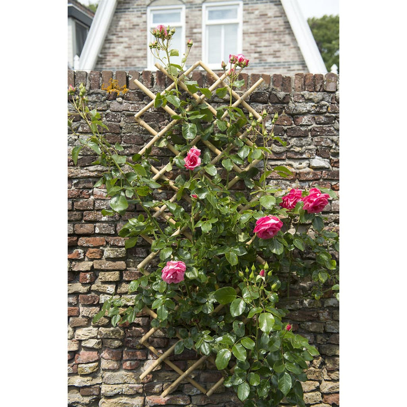 Load image into Gallery viewer, Nature latwerk voor tuin 100x200 cm bamboe 6040722