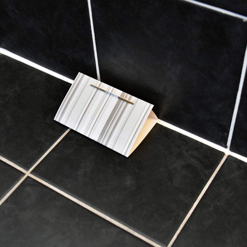 Load image into Gallery viewer, Hg x zilvervisjesval - 10936299