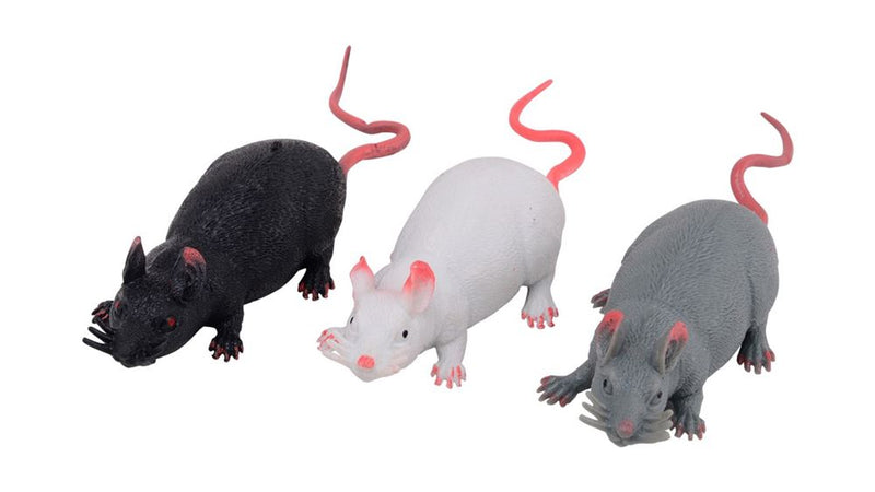 Load image into Gallery viewer, Set animal world rat stretch 3 assortie