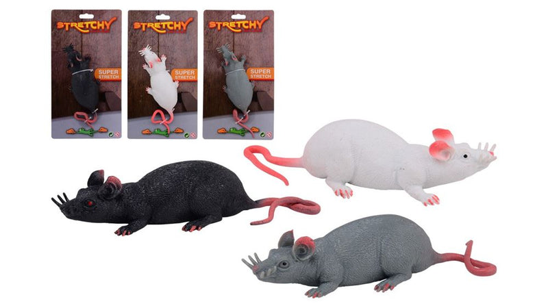 Load image into Gallery viewer, Set animal world rat stretch 3 assortie