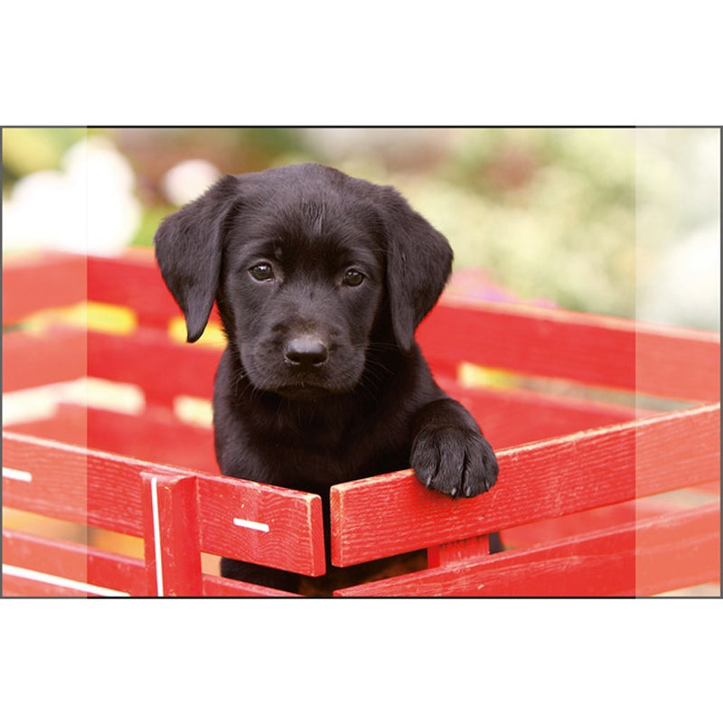 Load image into Gallery viewer, Kangaro bureauonderlegger zwarte labrador pup 38x58cm