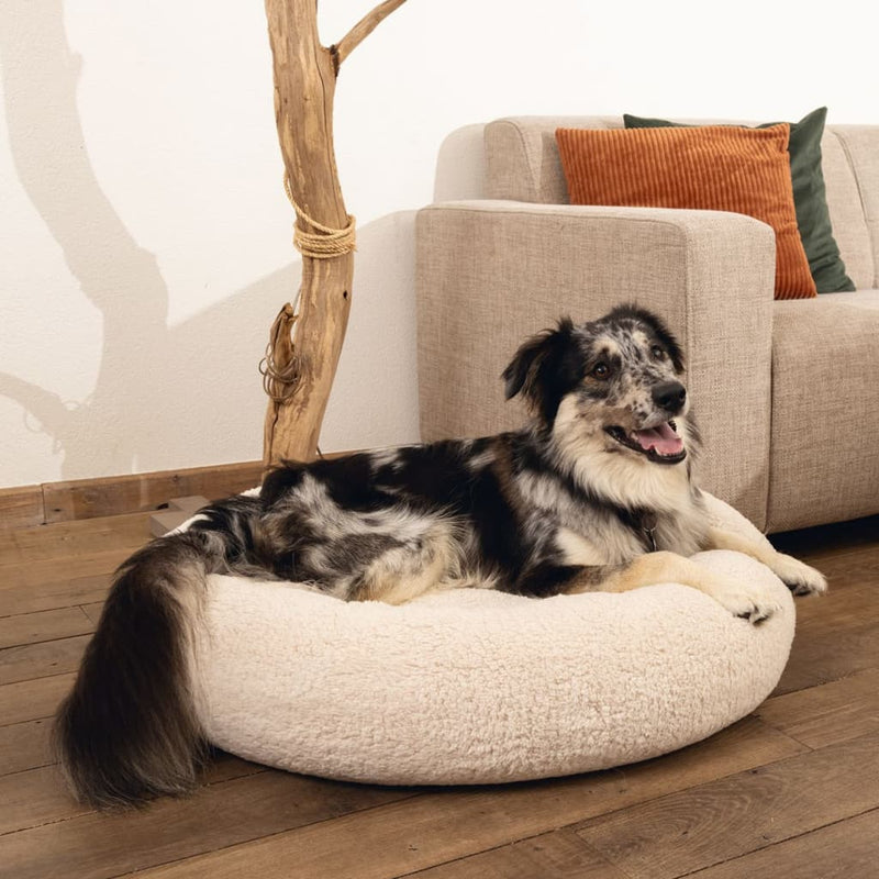 Load image into Gallery viewer, Beeztees Beeztees Hondenmand Jaxx traagschuim 50x20 cm beige