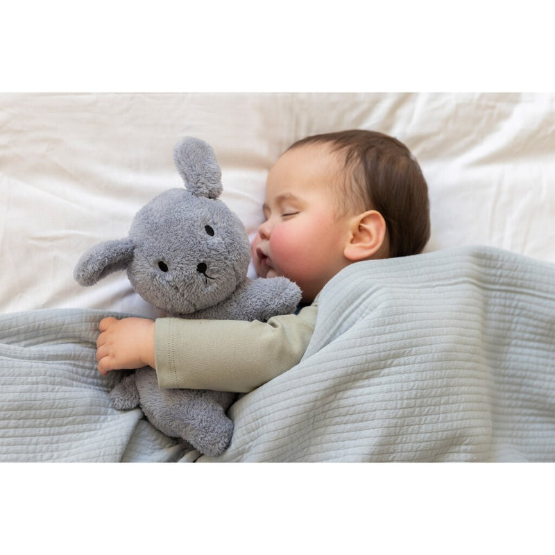 Load image into Gallery viewer, Nijntje fluffy snuffie knuffel 25 cm blauw